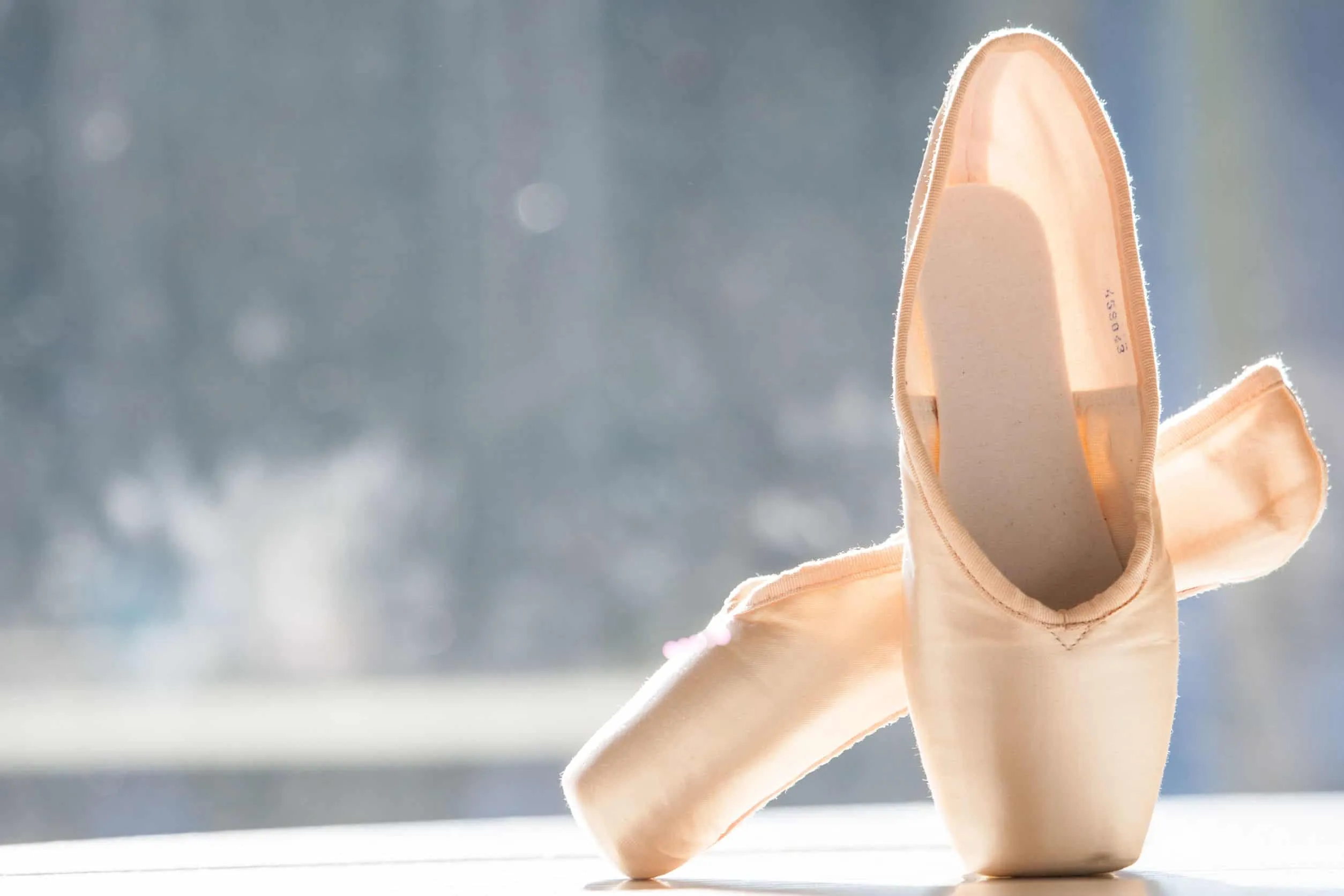 zapatillas de ballet